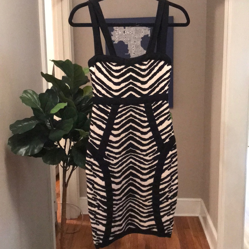 Zebra striped dress
